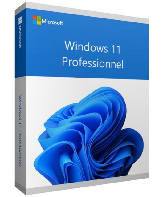 Licence Microsoft Windows 11 Professionnel - Electronique